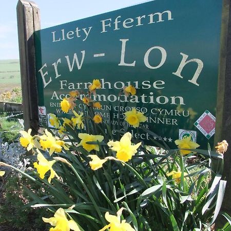 庞特芬Erw-Lon Farm住宿加早餐旅馆 外观 照片
