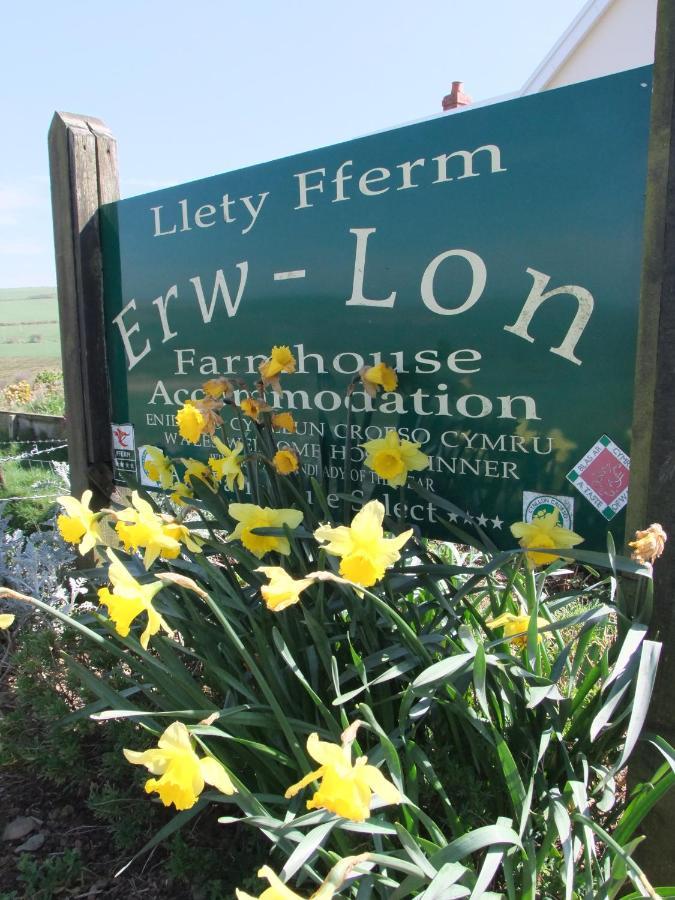 庞特芬Erw-Lon Farm住宿加早餐旅馆 外观 照片